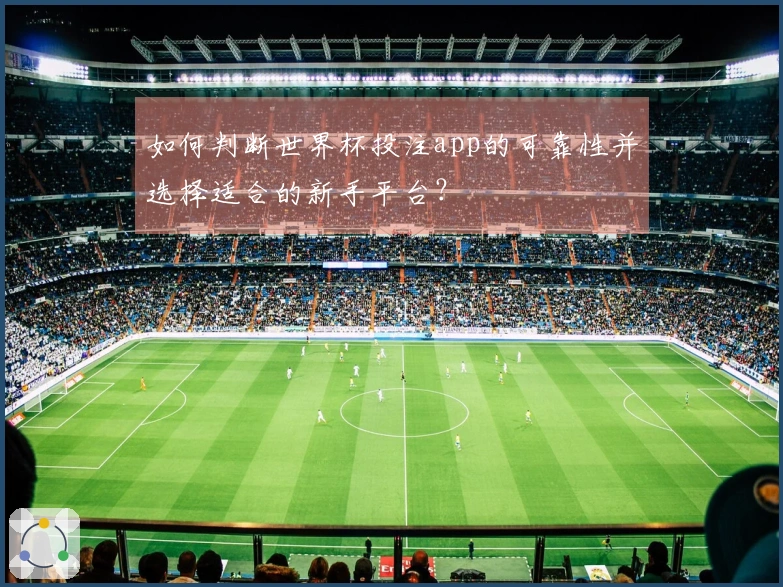 B体育体育资讯图片