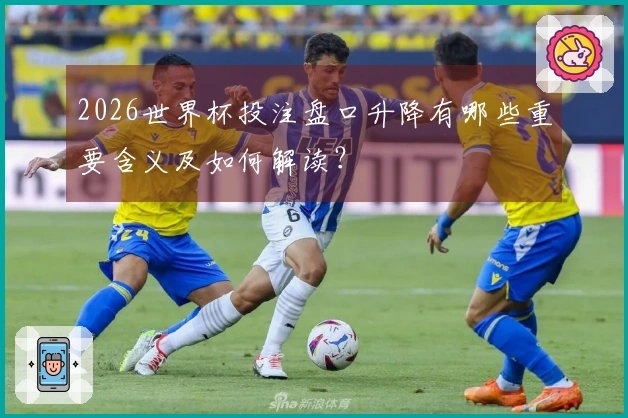 2026世界杯投注盘口升降有哪些重要含义及如何解读？