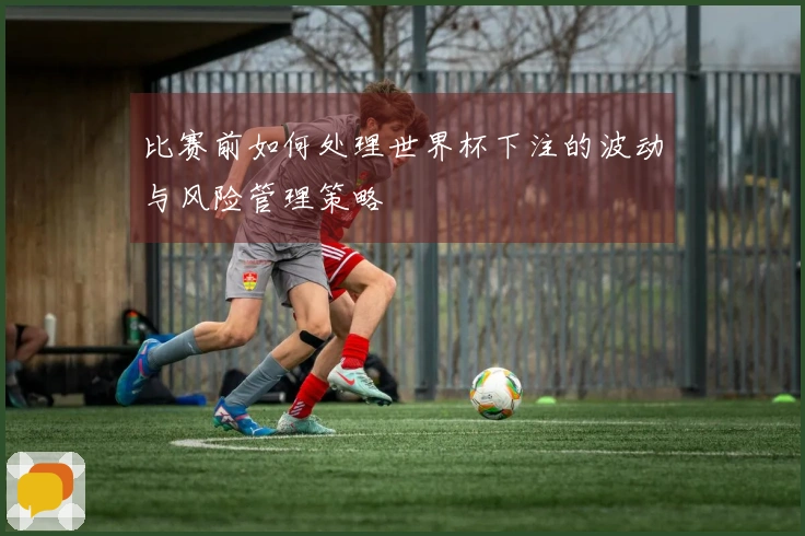 比赛前如何处理世界杯下注的波动与风险管理策略