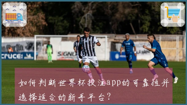 如何判断世界杯投注app的可靠性并选择适合的新手平台？