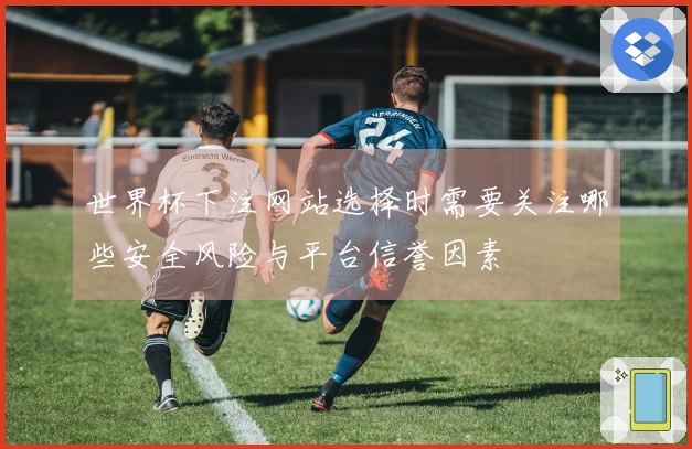 B体育体育资讯图片