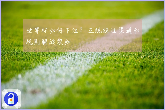世界杯如何下注？正规投注渠道和规则解读须知
