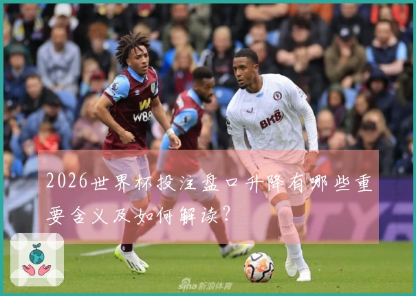 2026世界杯投注盘口升降有哪些重要含义及如何解读？